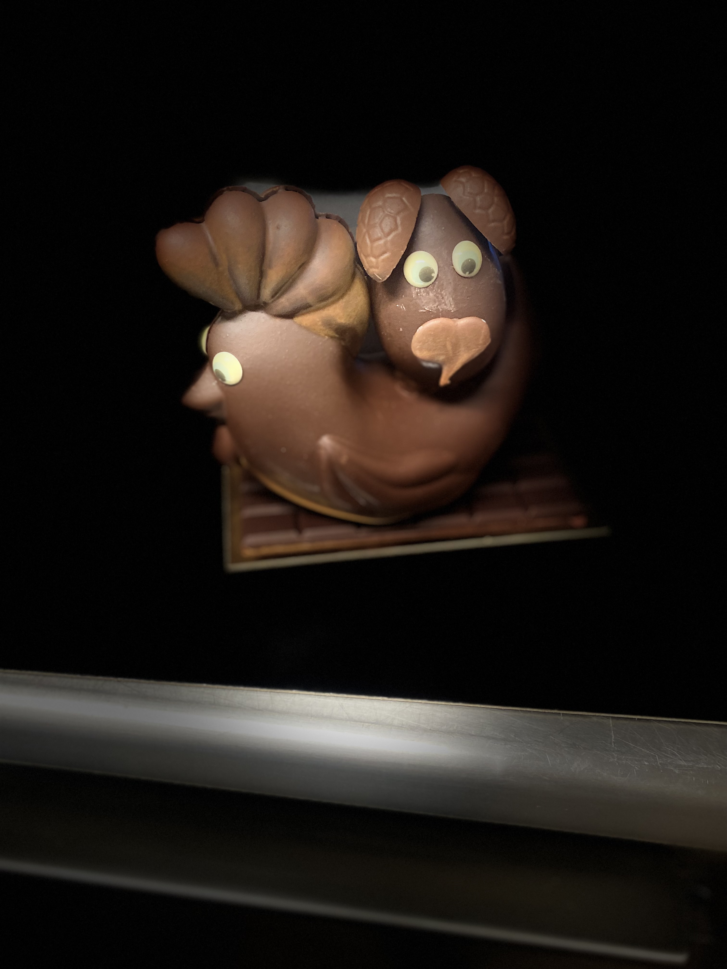 Poule et œufs